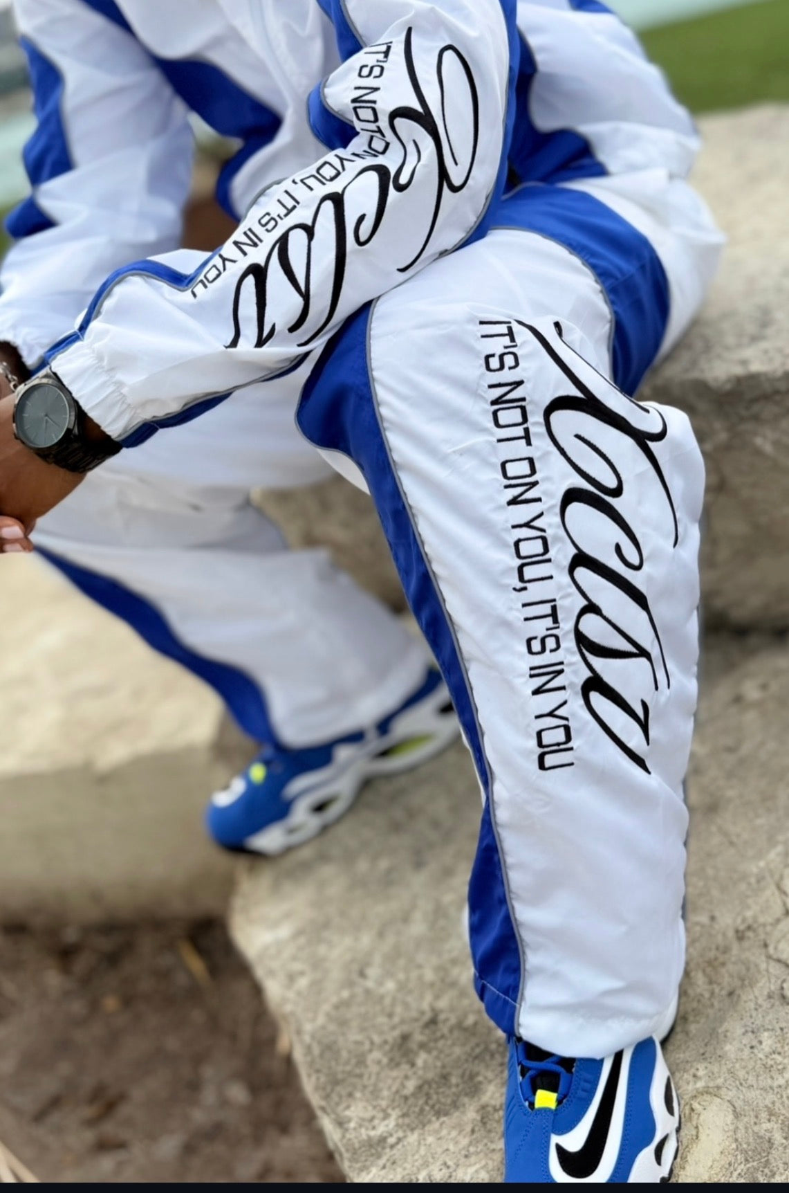 Ice Age Windbreaker